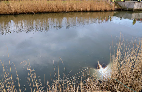 Man overleden en zwaargewonde bij ongeval op de Linge bij IJzendoorn