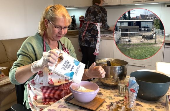 Verkoop van boterkoeken moet zorgen voor nieuw konijnenverblijf in Tiel
