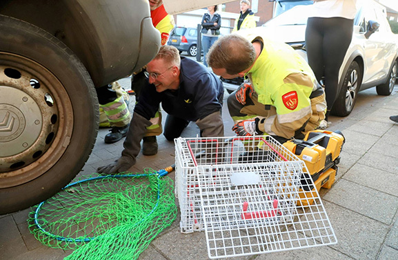 Brandweer redt kat uit benarde positie
