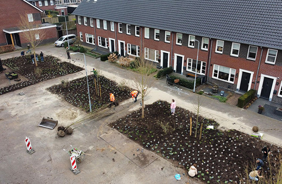 Buurtbewoners zorgen voor een groenere buurt