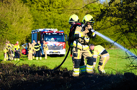 Grote berm- en bosschagebrand in Asperen