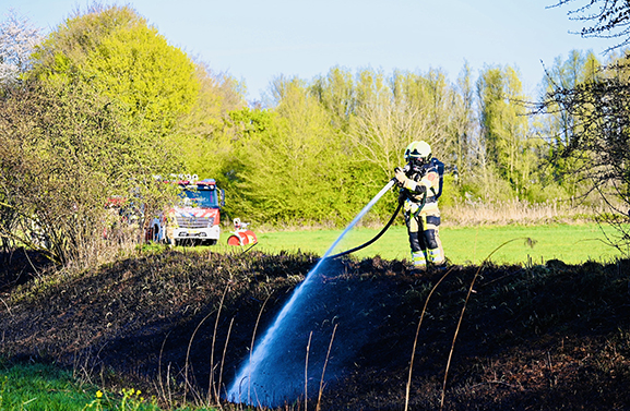 Grote berm- en bosschagebrand in Asperen