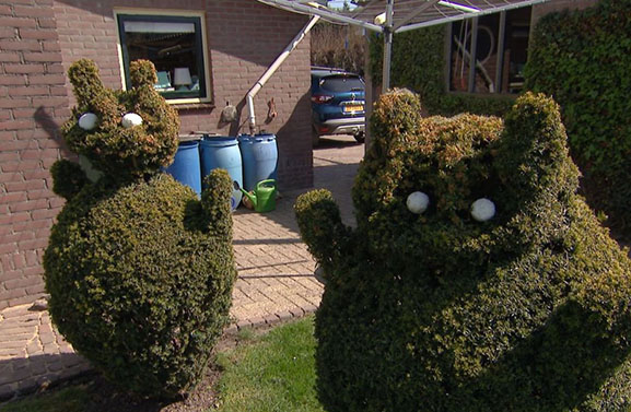 Simon verloor zijn zoon en vindt troost in zijn tuin
