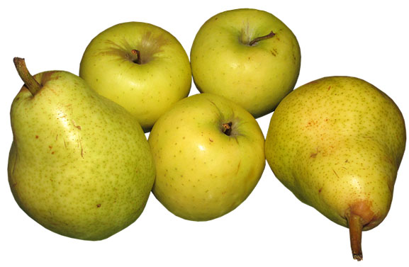Fruitteler: door hagel gebutst fruit nog meer dan prima voor voedselbanken
