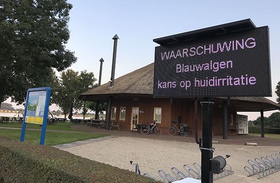 Waarschuwing voor blauwalg Strand Eiland van Maurik is ingetrokken