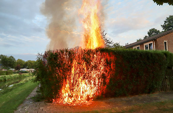 Coniferenhaag in brand aan Willem Marisstraat in Tiel
