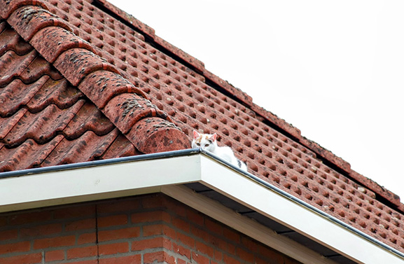 Kat uit dakgoot gered door brandweer met drone