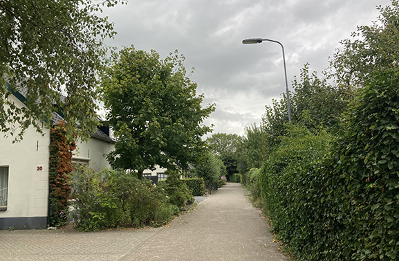 Vragen naar de bekende weg: Dries in Maurik
