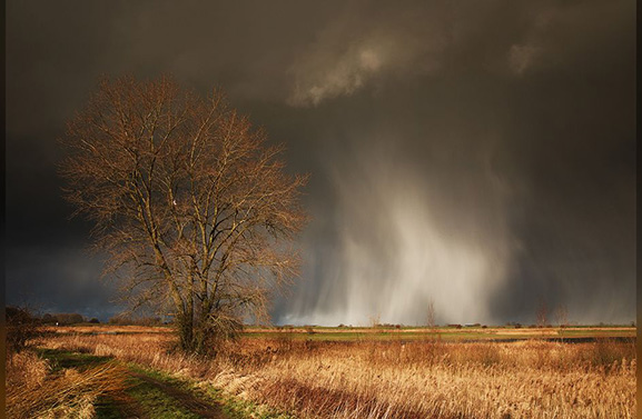Fotograaf Hennie Marks heeft zijn hart verpand aan de Lek