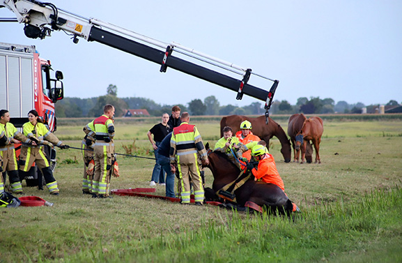 Brandweer redt paard uit sloot langs de Veldweg