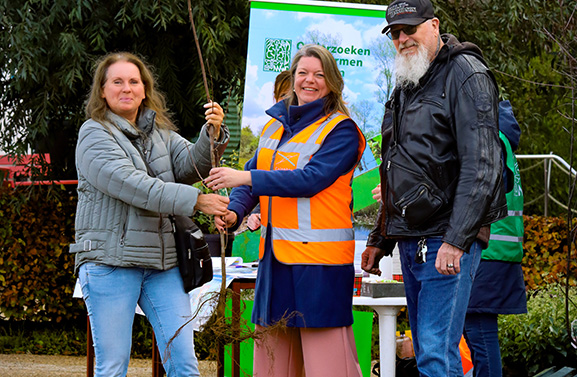 Nieuwe bomen voor 100 Culemborgse tuinen