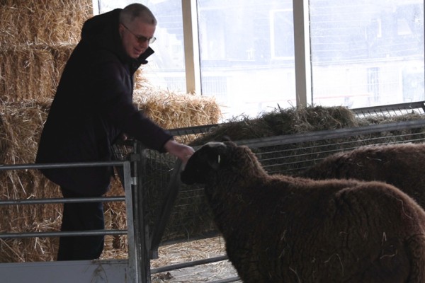 Gemeente werkt voorstel voor verzelfstandiging kinderboerderij uit