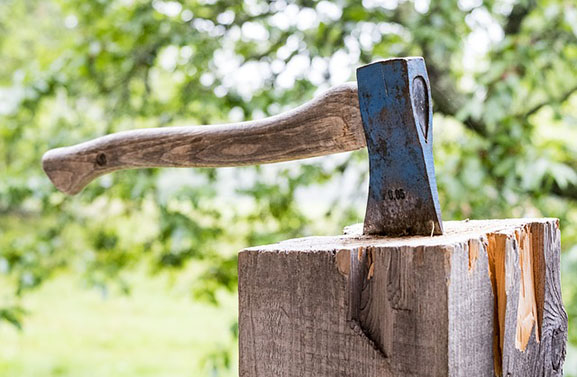 Kap enkele bomen voor archeologisch onderzoek Sluiseiland Vianen