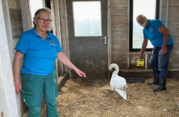 Wildopvang Eck en Wiel helpt 1.200 dieren per jaar