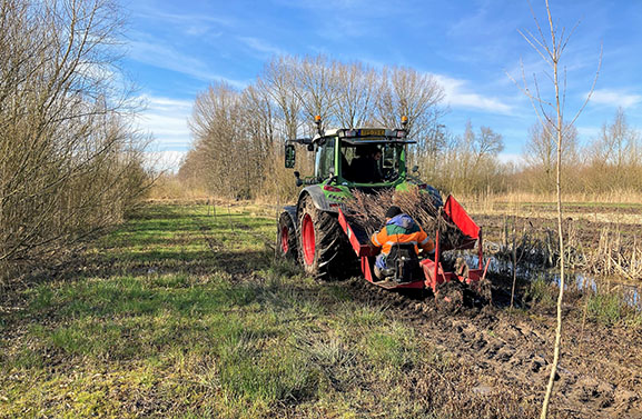 Staatsbosbeheer plant bijna 38.000 bomen in westelijke deel van de Betuwe