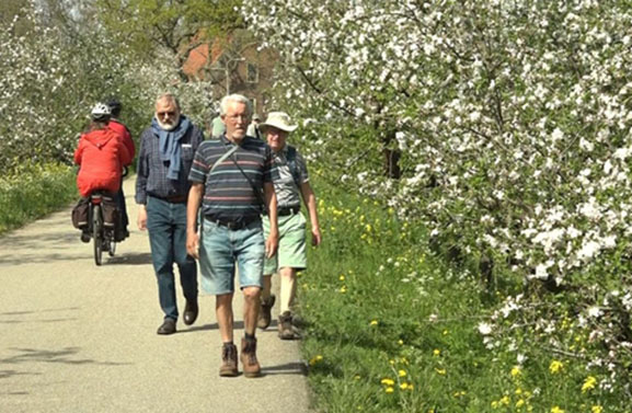 Geen Bloesemtocht, maar zo'n 100 wandelaars gaan toch op pad