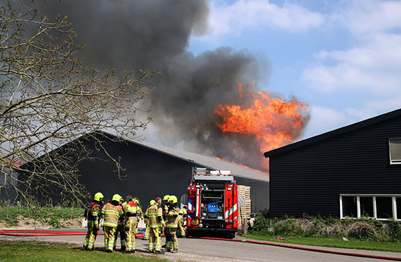 UPDATE: Grote brand bij pompoenenbedrijf De Terp in Erichem