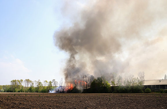 UPDATE: Grote brand bij pompoenenbedrijf De Terp in Erichem