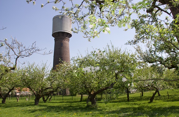 Markante gebouwen – Watertoren Culemborg