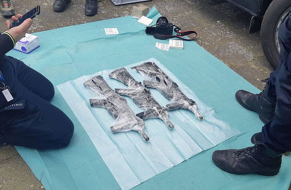 Verdachte moordpoging op 'tattookiller' komt uit Tiel