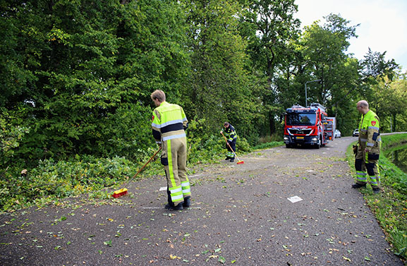 Auto beschadigd door vallende takken in Zoelen