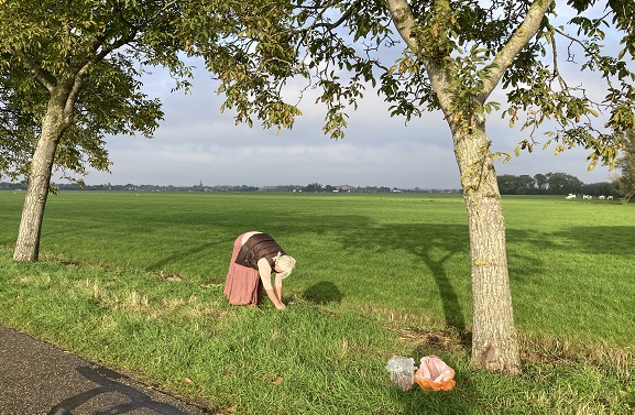 De aantrekkingskracht en aantrekkelijkheid van walnoten