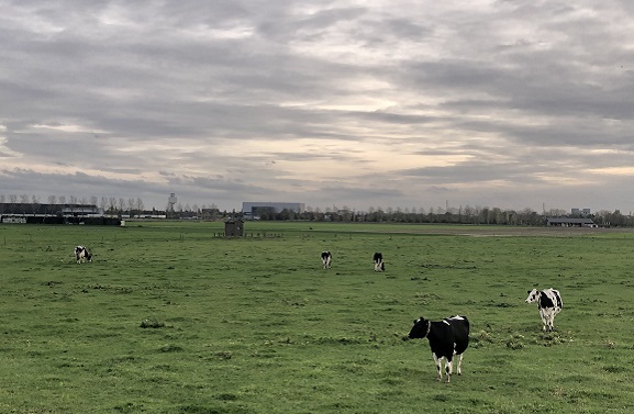 Begeleidingstraject BoerenPerspectief van start in Gelderland