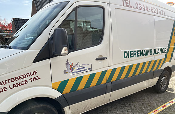 Dierenambulance zit (nog steeds) te springen om vrijwilligers