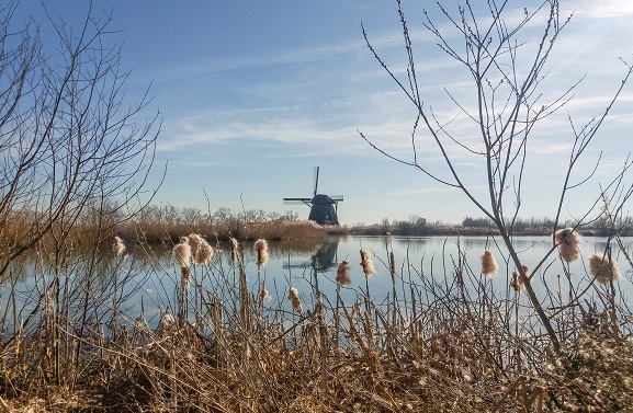Staatsbosbeheer doet aanpassingen in plan natuurgebied De Steendert