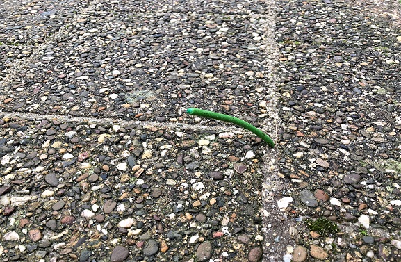 Het mysterie van de opgevoerde grassprieten