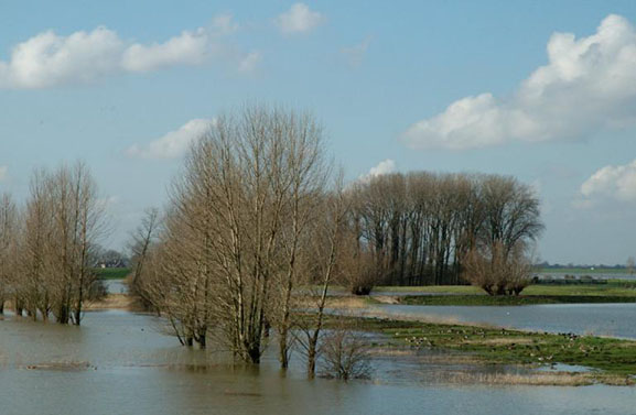 Gemeenteraad Culemborg geeft groenlicht tot aankoop kavels Redichemse Waard