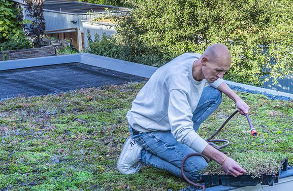 Vergroen met de buren en ontvang subsidie van het waterschap