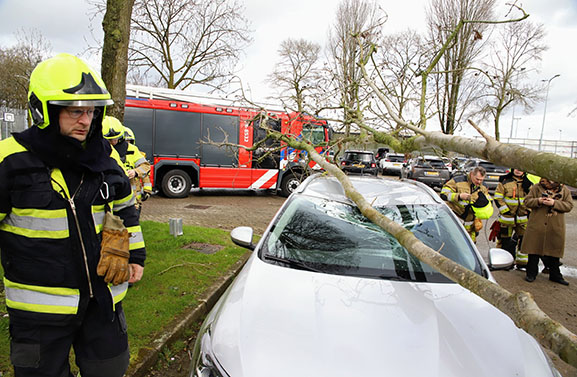 Boom valt op geparkeerde auto bij Sporthal Westroijen in Tiel
