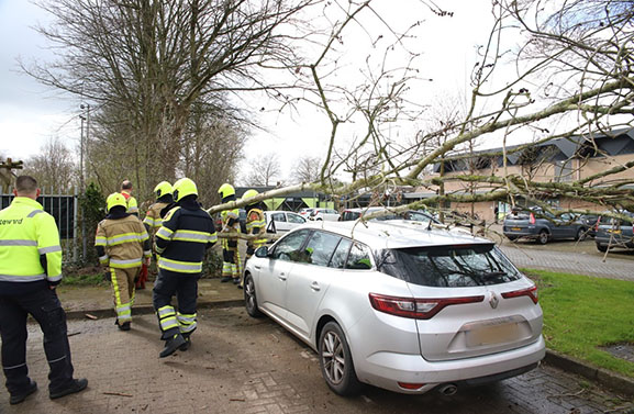 Boom valt op geparkeerde auto bij Sporthal Westroijen in Tiel