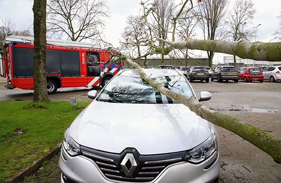 Boom valt op geparkeerde auto bij Sporthal Westroijen in Tiel