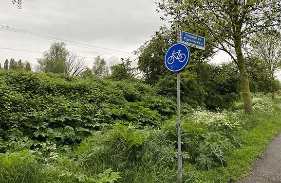Bodemverontreiniging langs spoor in Tiel niet schadelijk voor gezondheid