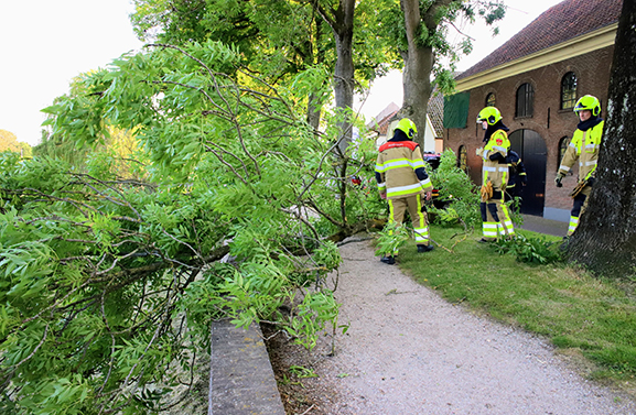 Brandweer haalt gevaarlijke tak uit boom aan Weeshuiswal in Buren