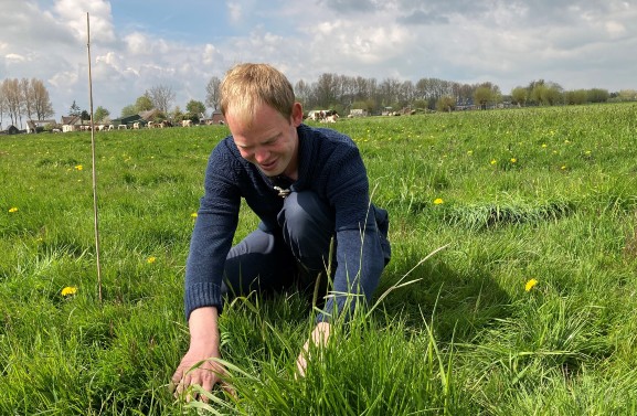 Boer Willem zorgt met liefde voor weidevogels: 'Enorm belangrijk'