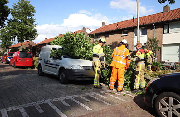 Stormschade in Geldermalsen, grote tak valt op auto