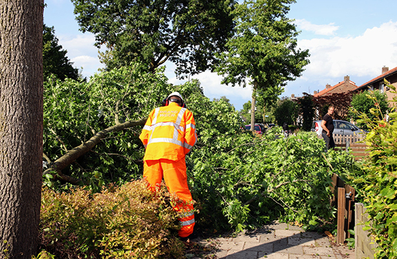 Stormschade in Geldermalsen, grote tak valt op auto