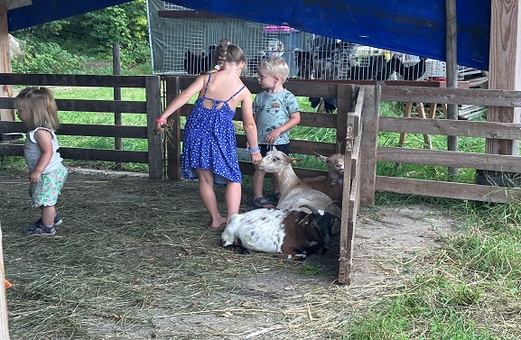 Oogstdag in Ophemert met een zilveren randje