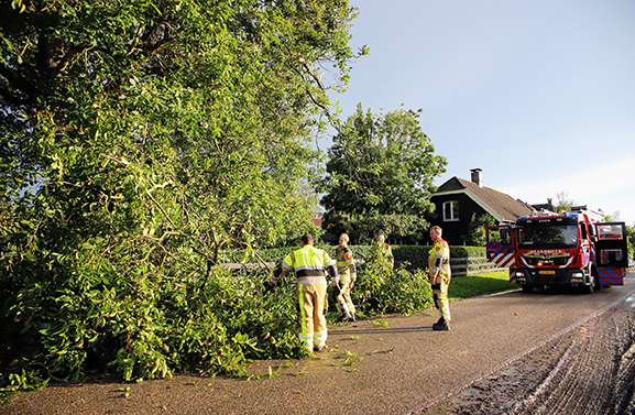 Overlast in de regio door harde wind