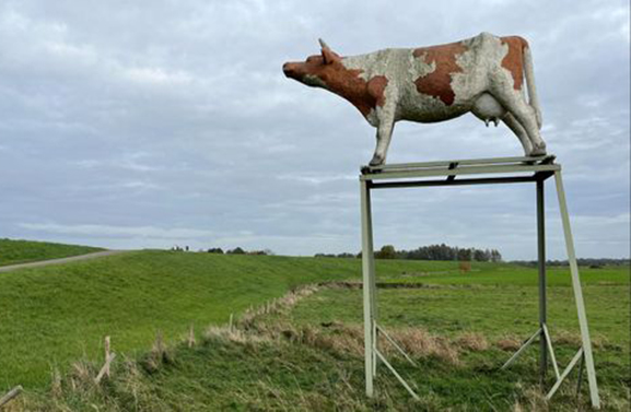 Onrust over dijkverbreding: 'We ruilen een uniek landschap in'