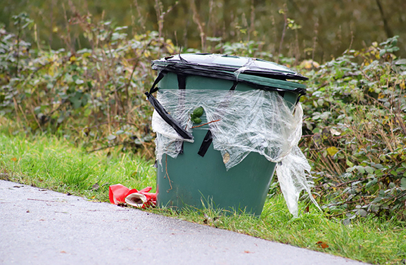Gedumpt afval aangetroffen aan de Graaf Reinaldweg in Haaften
