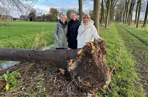 QR-code op bomen schept duidelijkheid over kap