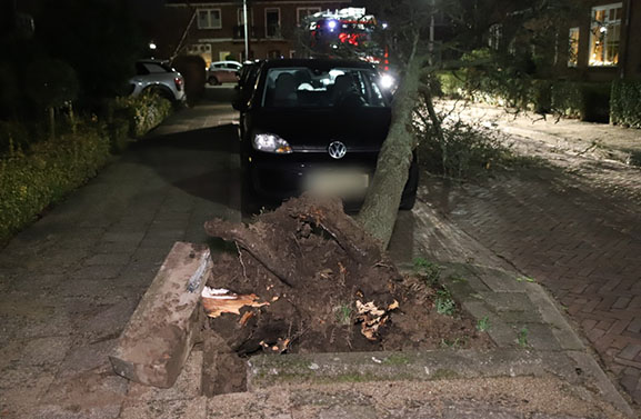 Schade door storm Henk: boom valt op auto aan de Prins Bernhardlaan in Tiel