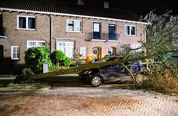 Schade door storm Henk: boom valt op auto aan de Prins Bernhardlaan in Tiel