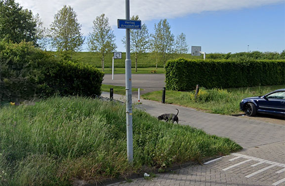 Buitenkans voor spelen in de Hertogenwijk in Tiel