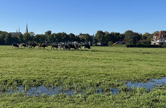 Nieuw biologisch SKAL-beheer gepresenteerd in de Volencampen