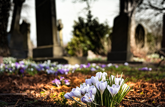 Gemeente Vijfheerenlanden ruimt graven Schoonrewoerd en Vianen